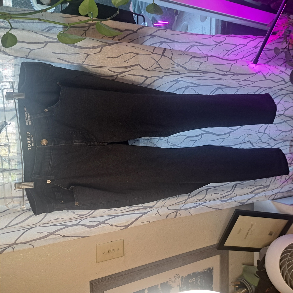 Torrid Black Skinny Jeans